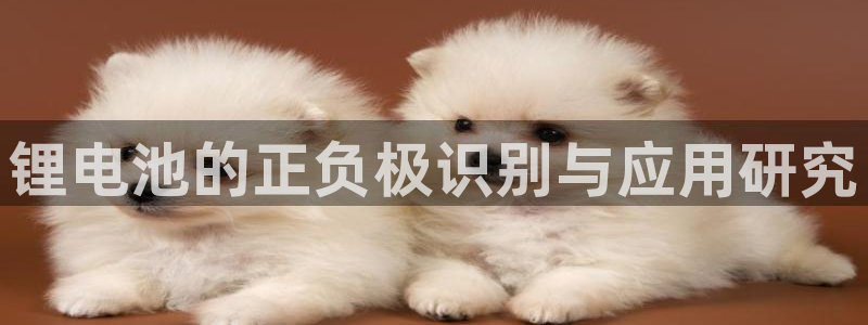usdt交易所平台