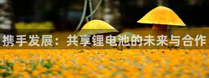 USDT钱包官网下载