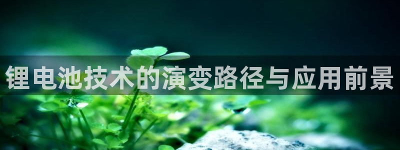 usdt收款地址在哪看