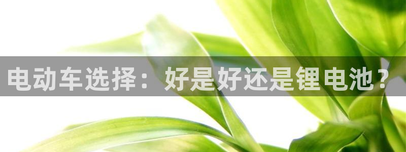 usdt 查流水