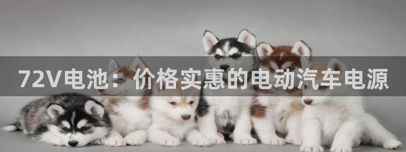usdt提币地址