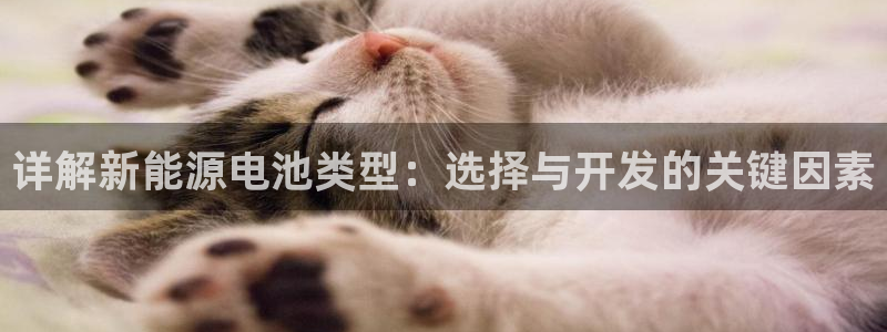 usdt交易平台网站