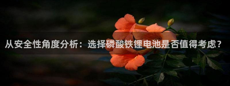 usdt余额查询