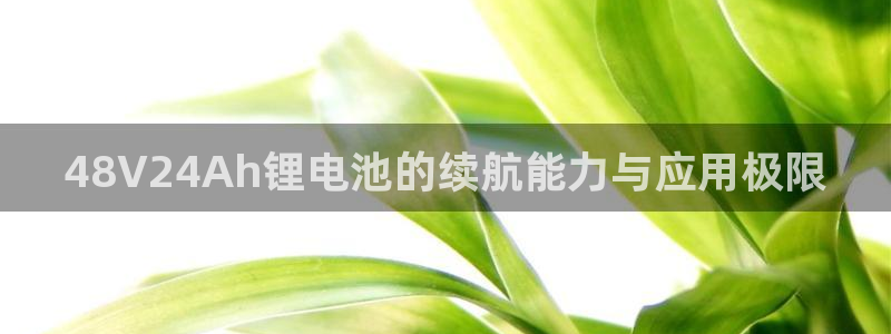 usdt怎么扫码
