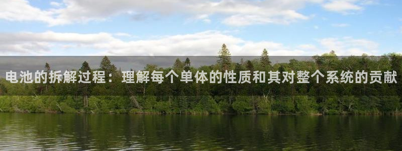 usdt怎样交易：电池的拆解过程：理解每