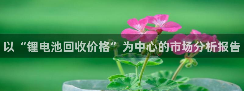 usdt放imtoken：以“锂电池回收